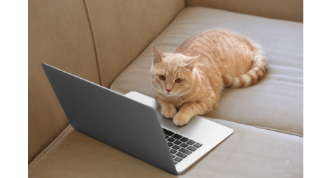 Как правильно заботиться о компьютере и ноутбуке: советы и мифы