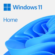 WIN HOME 11 64-bit All Lng PK Lic Online DwnLd NR<br>