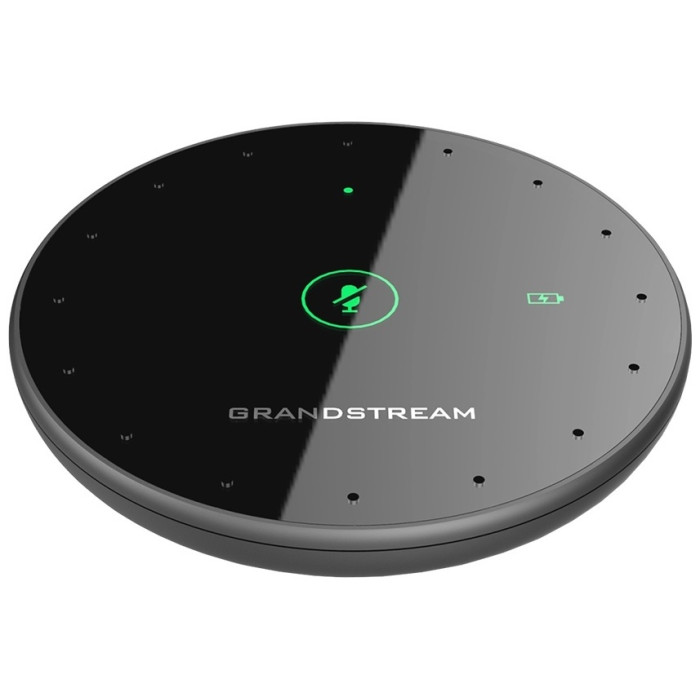Grandstream GMD1208