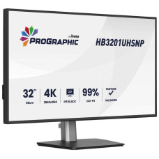 Монитор iiyama ProGraphic HB3201UHSNP-B1 32