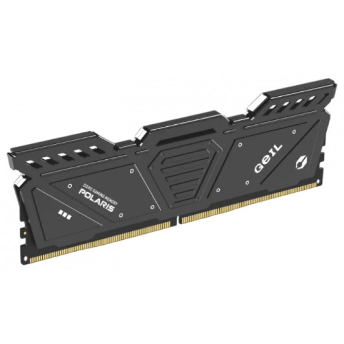 Geil GOG532GB6000C38BDC 32 Гб