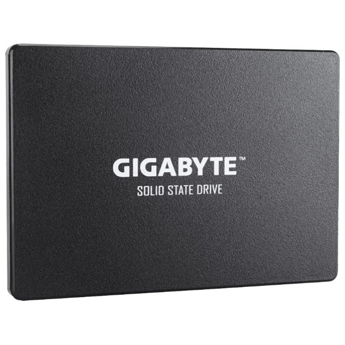GIGABYTE GP-GSTFS31100TNTD 1000GB