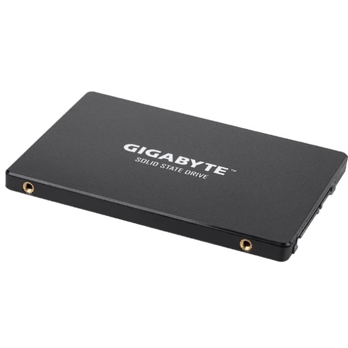 GIGABYTE GP-GSTFS31100TNTD 1000GB