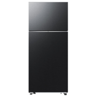 Samsung RT53DG7A10B1WT черный