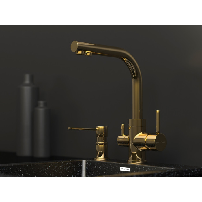 Смеситель для кухни (мойки) Paulmark Es213011-G, однозахватный