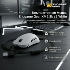 Endgame Gear XM2 8k v2 белый