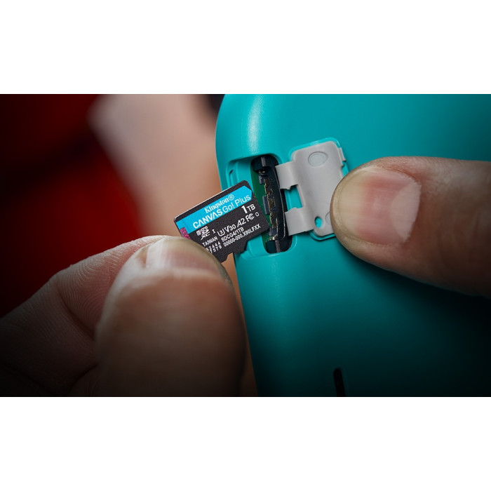 Kingston microSD Class 10 U3 SDCG4/256GB 256 Гб