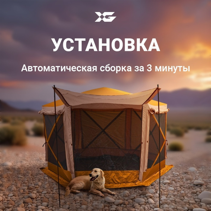 XG 2905-B коричневый