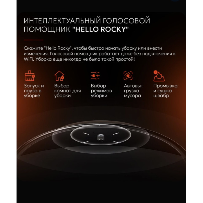 Roborock Saros 10R черный