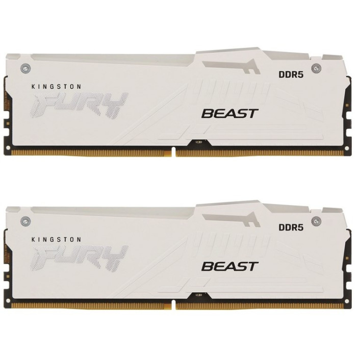 Kingston KF560C36BWEAK2-64 64 Гб