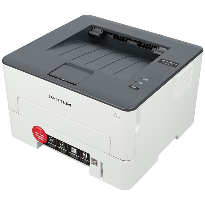Pantum P3010D серый-черный