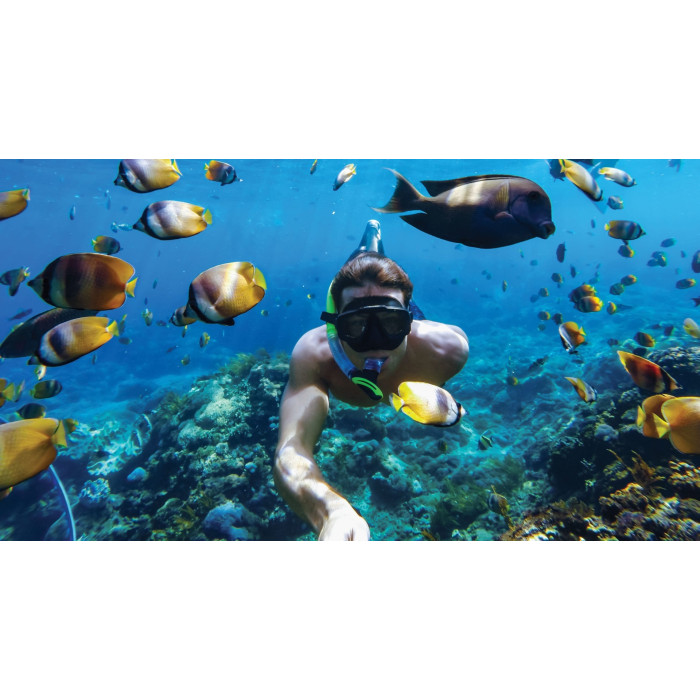 Защитный бокс GoPro Protective Housing