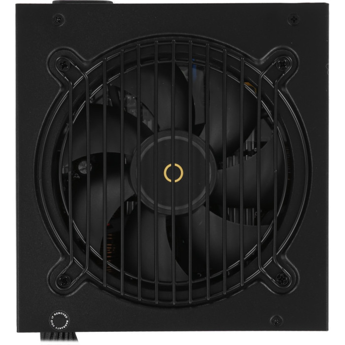 Ocypus Gamma P850 850 Вт