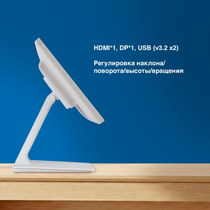 Монитор iiyama ProLite PL2252M T2252MSC-W2 21.5'