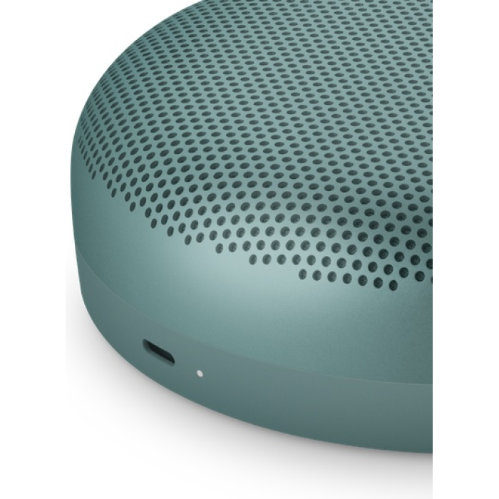 Портативная колонка Bang & Olufsen Beosound A1 3rd gen зеленый