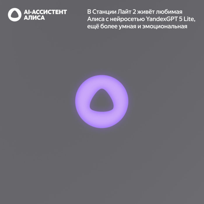 Яндекс Станция Лайт 2 серый