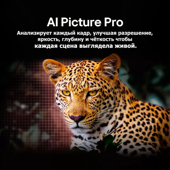 LG OLED65C5RLA 165 см черный