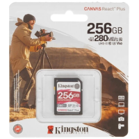 Kingston SDR2V6/256GB 256 Гб