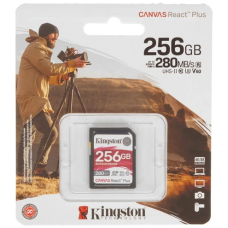 Kingston SDR2V6/256GB 256 Гб