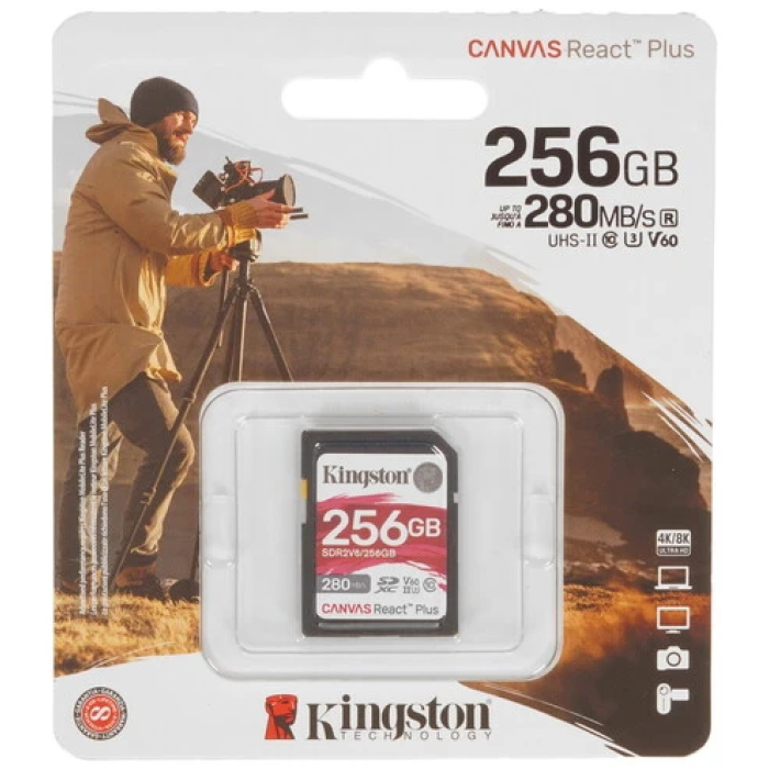 Kingston SDR2V6/256GB 256 Гб
