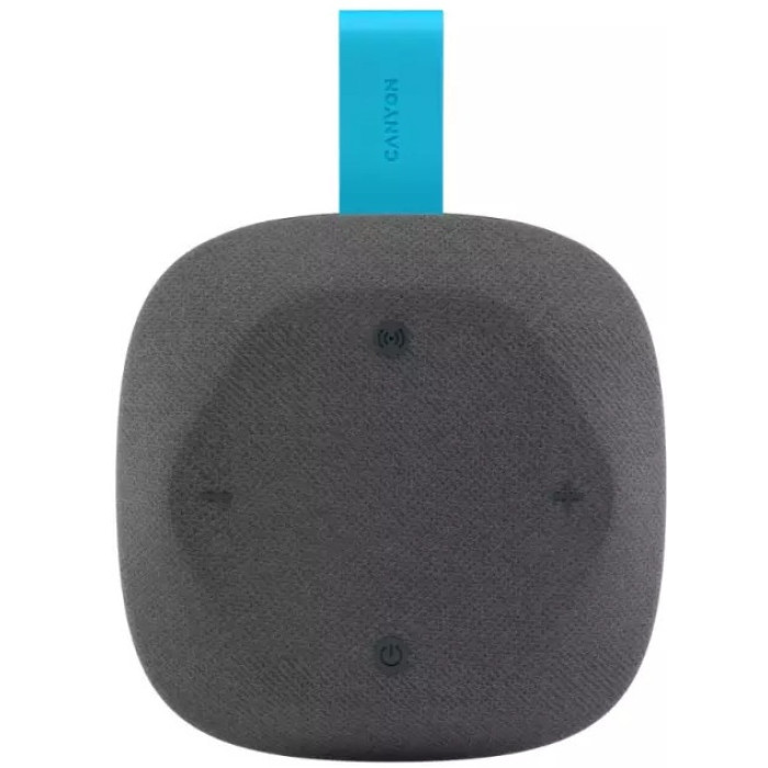 Портативная колонка Canyon HEXAGON 10 серый