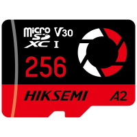 Hiksemi HS-TF-E3/256G 256 Гб