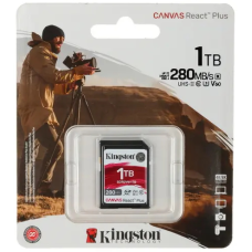 Kingston SDR2V6/1TB 1024 Гб