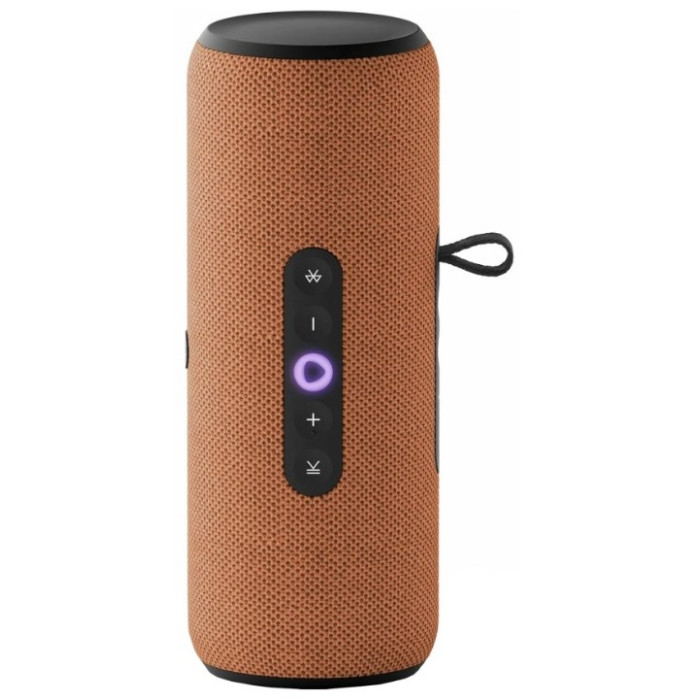 Яндекс Станция Стрит оранжевый