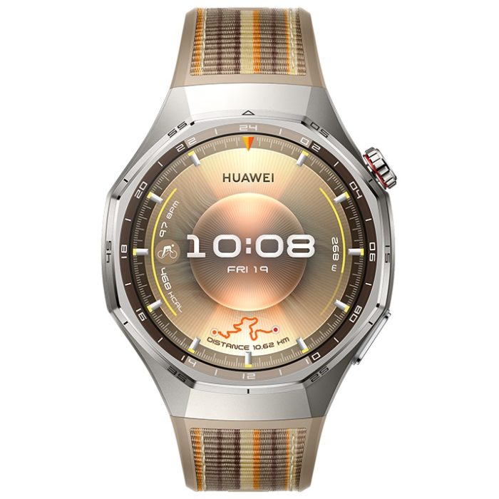 Huawei WATCH GT 6 Pro 46 мм серебристый-коричневый