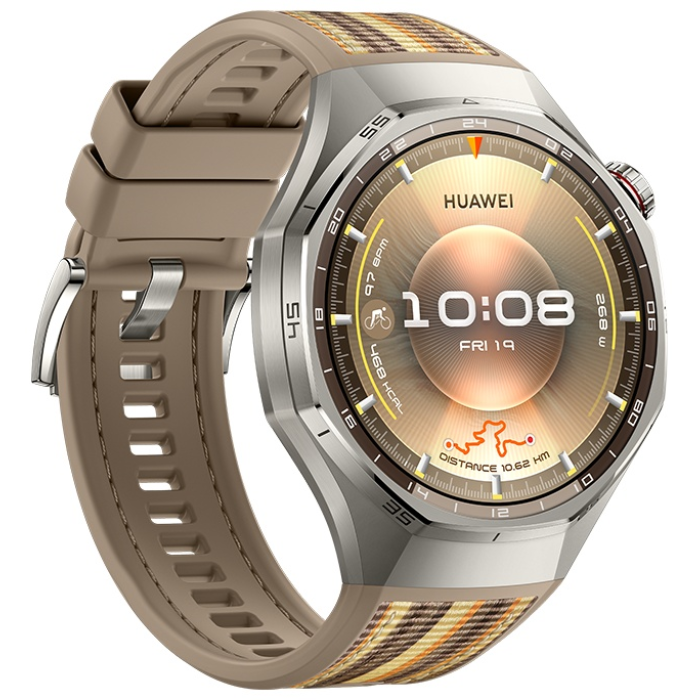 Huawei WATCH GT 6 Pro 46 мм серебристый-коричневый