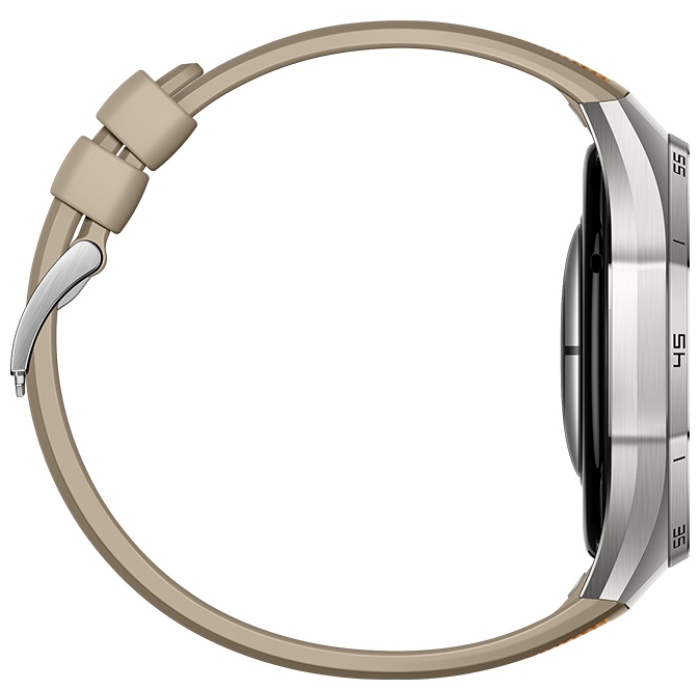 Huawei WATCH GT 6 Pro 46 мм серебристый-коричневый
