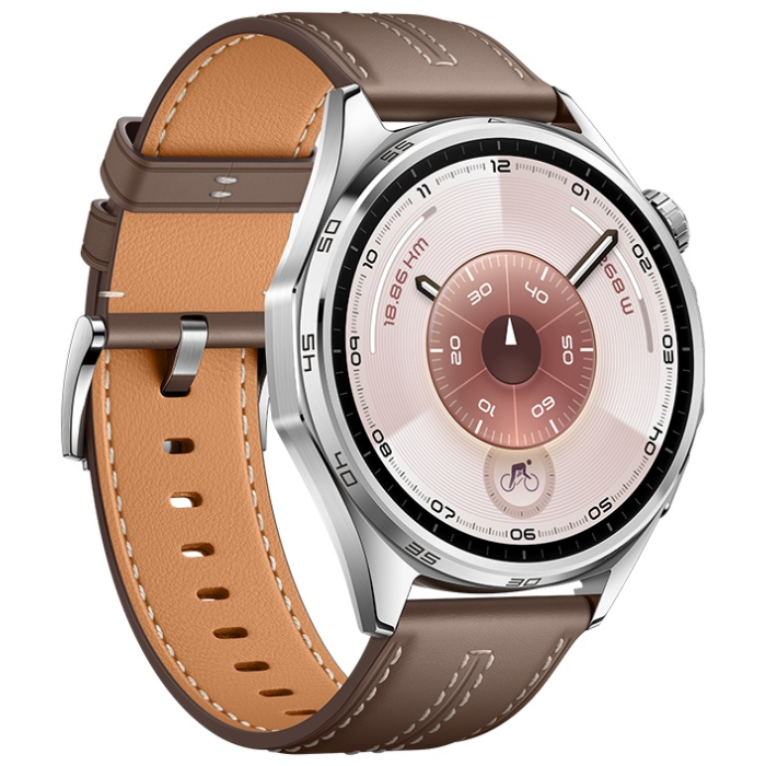 Huawei WATCH GT 6 46 мм серебристый-коричневый