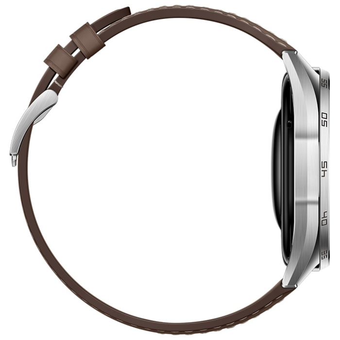 Huawei WATCH GT 6 46 мм серебристый-коричневый