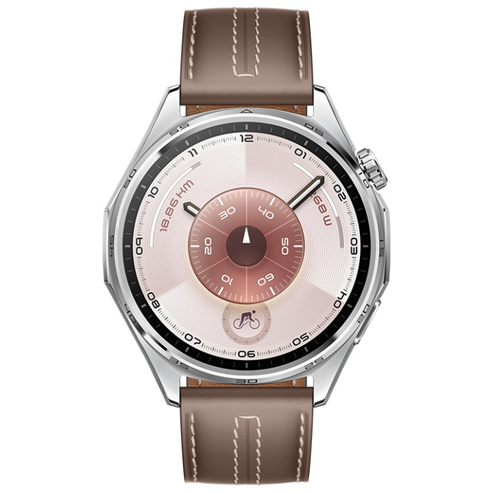 Huawei WATCH GT 6 46 мм серебристый-коричневый