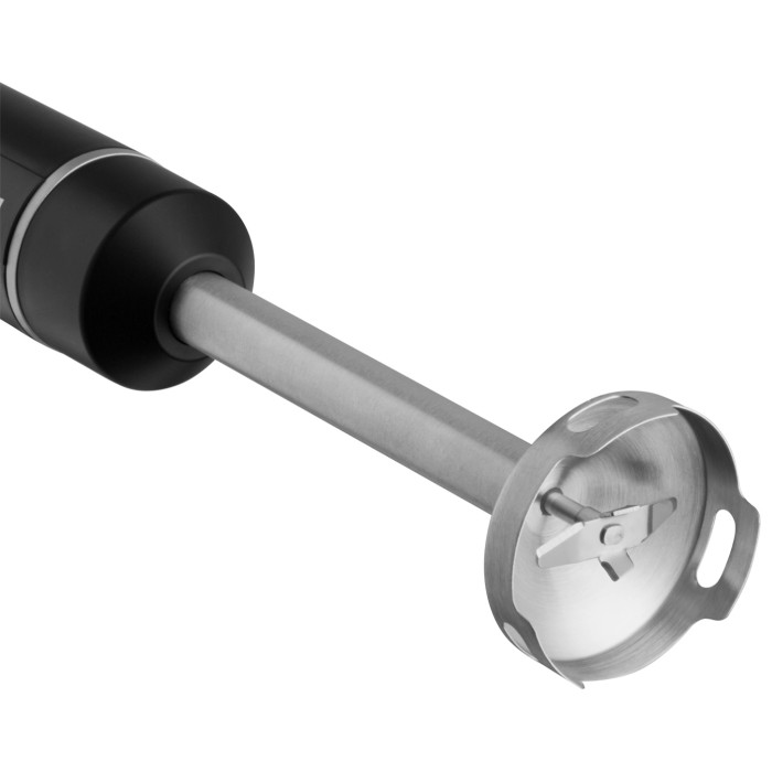 Блендер RED Solution COLORSENSE 2906P черный