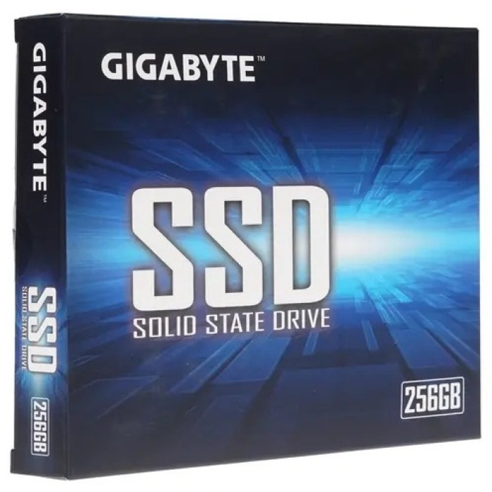 SSD GIGABYTE GP-GSTFS31256GTND 256 ГБ