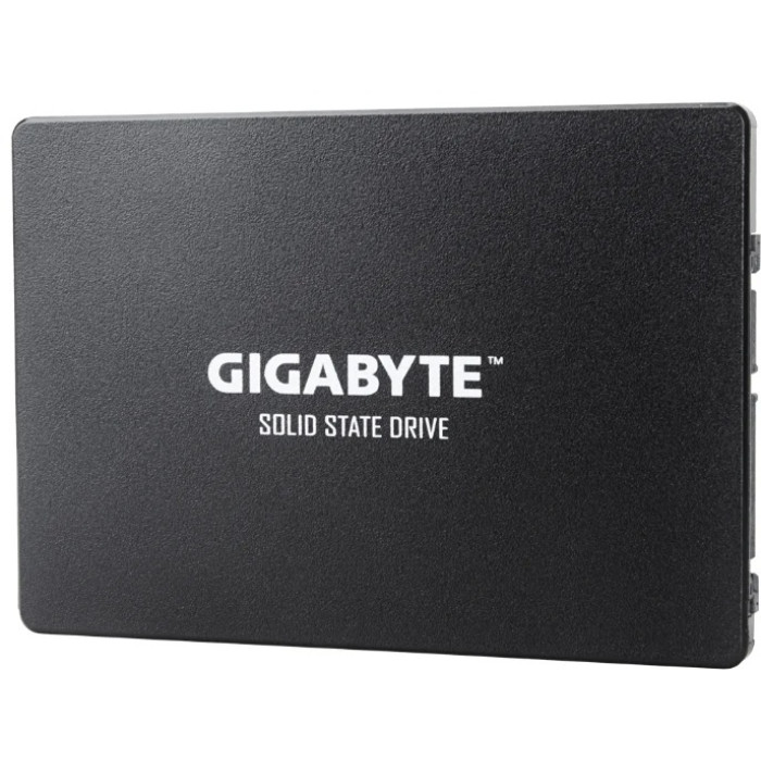 SSD GIGABYTE GP-GSTFS31256GTND 256 ГБ