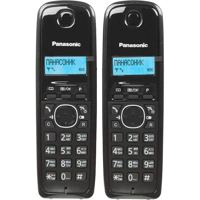 Panasonic KX-TG1612RUH