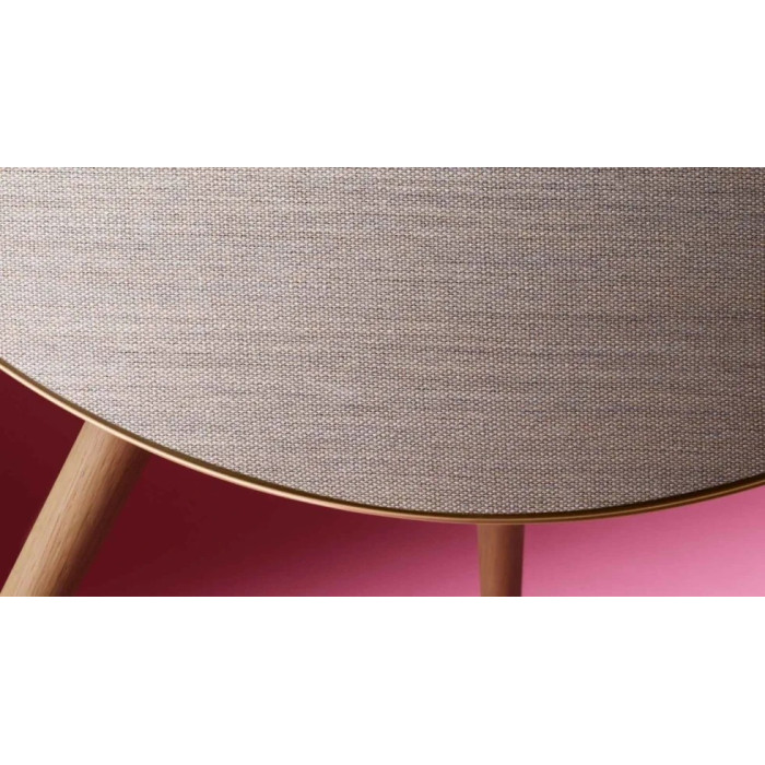 Bang & Olufsen Beosound A9 5th Gen