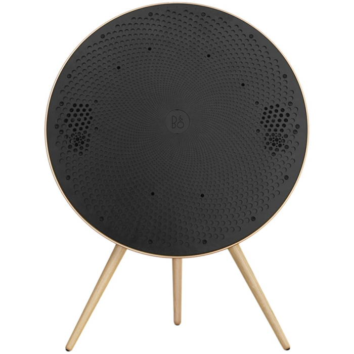 Bang & Olufsen Beosound A9 5th Gen