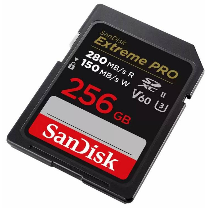 SanDisk Secure Digital XC SDSDXEP-256G-GN4IN 256 Гб