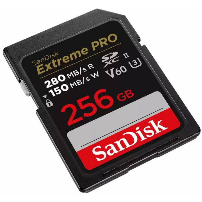SanDisk Secure Digital XC SDSDXEP-256G-GN4IN 256 Гб
