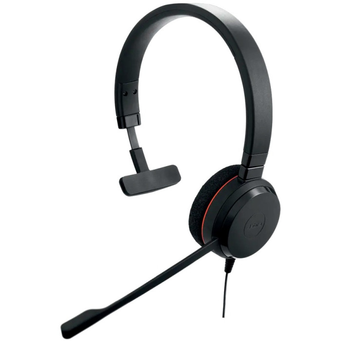 Наушники Jabra EVOLVE 20 MS Mono USB-C/A 4993-823-169 черный