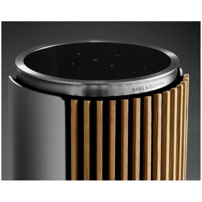 Bang & Olufsen Beolab 8