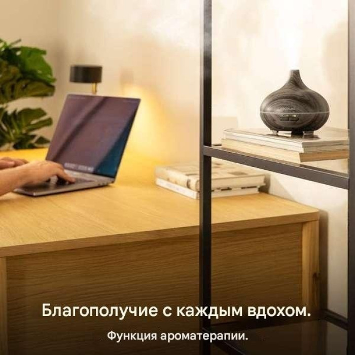 Увлажнитель воздуха Cecotec A01_EU01_110322 серый