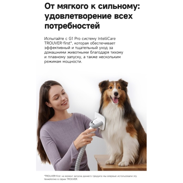 TROUVER Pet Grooming Vacuum Kit G1 Pro (CH2) белый