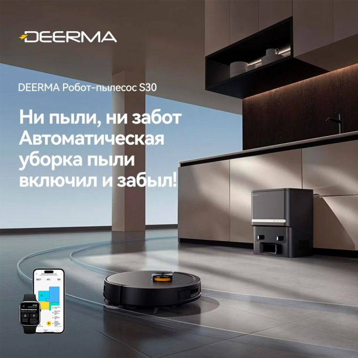 Deerma DEM-S30 черный