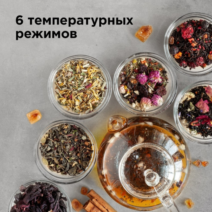 Электрочайник REDMOND RK-G1308D черный