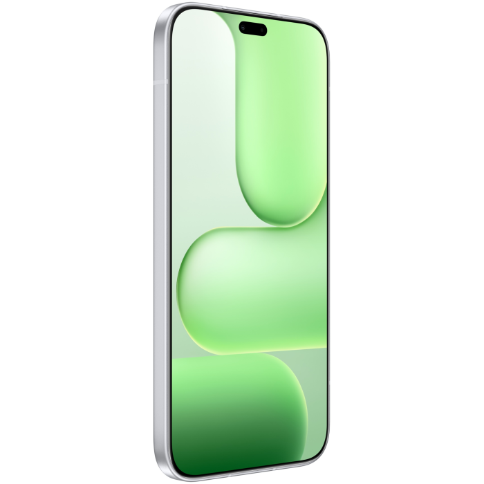 HONOR 600 Lite 8 ГБ/256 ГБ серебристый