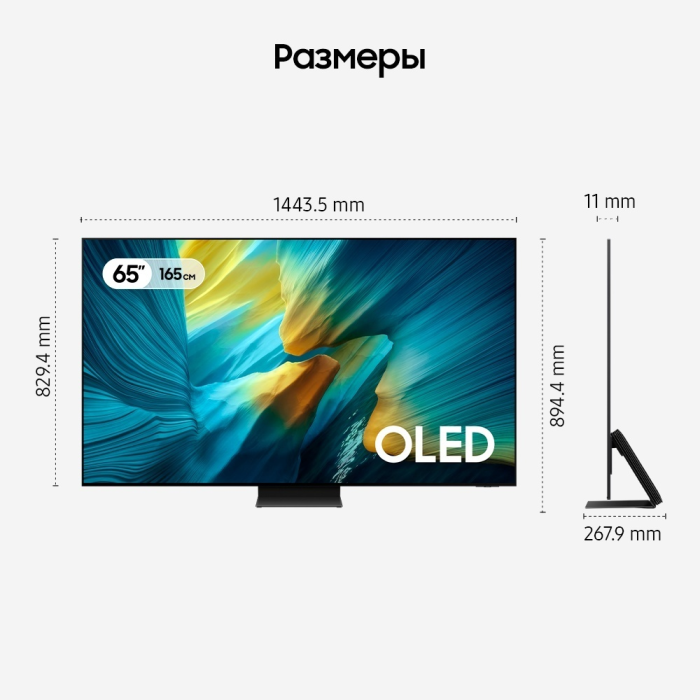 Samsung QE65S95FAUXCE 165 см черный